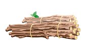 Vector image shows brown branches with green leaves stack bound with yellow cord cartoon style