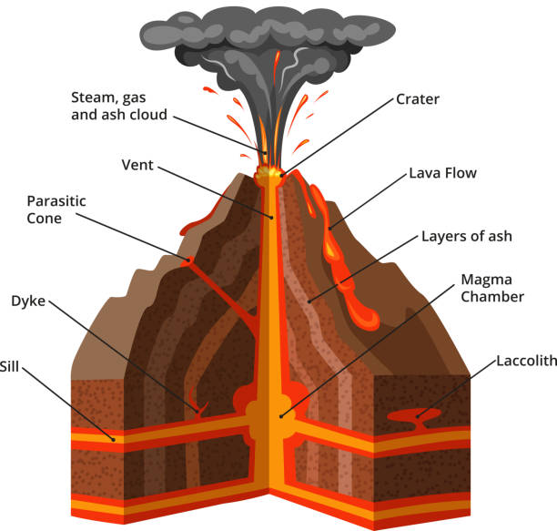 Vector infographic illustration. Cross section of volcano Vector infographic illustration. Cross section of volcano with lava and magma eruption volcano stock illustrations