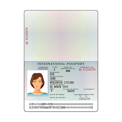 Vector international passport template with sample personal data page