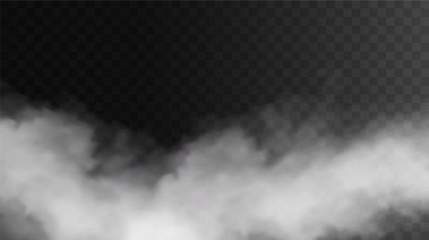 ベクター分離煙 png.透明な黒の背景に白い煙のテクスチャ。蒸気、煙、霧、雲の特殊効果 - ゆげ点のイラスト素材／クリップアート素材／マンガ素材／アイコン素材