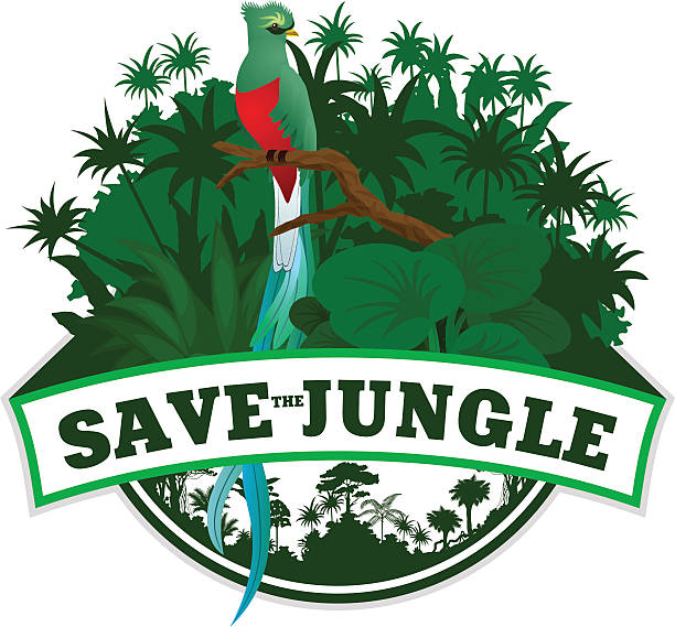 Vector Jungle Emblem with sloth Vector Jungle Emblem with sloth quetzal stock illustrations