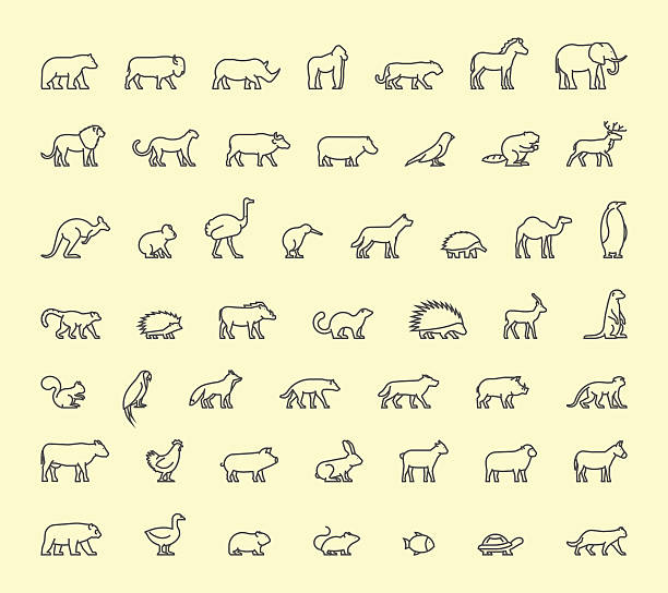Vector line icon wild animals Vector line icon domestic, farm and wild animals. antelope stock illustrations