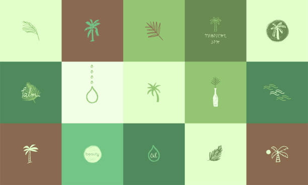 Vector logo design template. Palm tree symbol, palm leaf sign. Graphics for tropical spa, beauty studio emblem, holiday rentals, tropical cosmetic badge. Drawn tree for travel rehab services. beach symbols stock illustrations