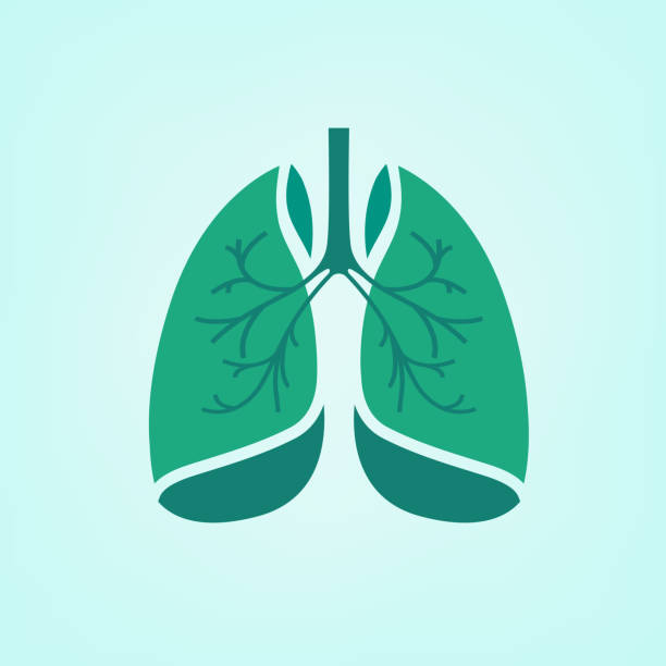 stockillustraties, clipart, cartoons en iconen met vector lungs icon - longen