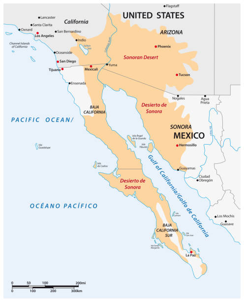 sonoran çölü vektör haritası, meksika, amerika birleşik devletleri - tijuana stock illustrations