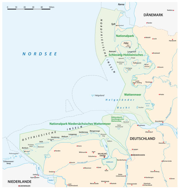 vektorkarte der drei nationalparks wattenmeer in deutscher sprache, deutschland - schleswig holstein stock-grafiken, -clipart, -cartoons und -symbole