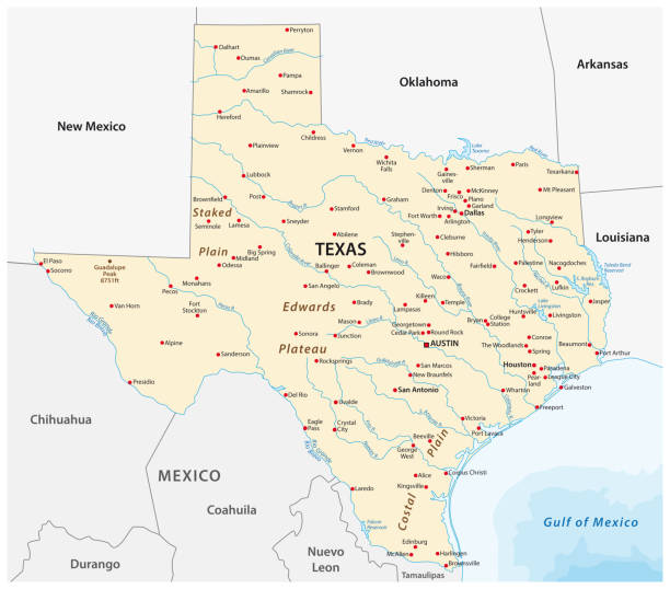 bildbanksillustrationer, clip art samt tecknat material och ikoner med vektor karta över den amerikanska delstaten texas - gulf coast states