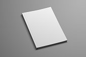 Vector mockup for the presentation of the brochure. White realistic blank of A4 and A5 catalog on a gray background