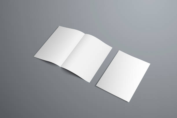 Vector mockup of open bifold brochures and covers. vector art illustration
