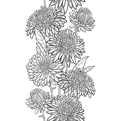 Vector Monochrome Vertical Seamless Pattern With Outline Aster Flower Bud And Leaf In Black On The White Background Stock Illustration Download Image Now Istock,Horse Sleeping Lying Down