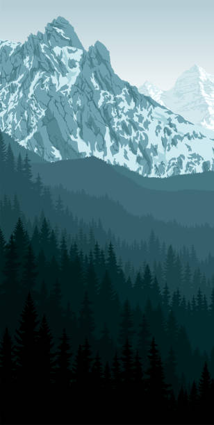 ilustrações de stock, clip art, desenhos animados e ícones de vector morning peack in mountain woodland landscape - mont blanc