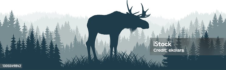 istock vector mountains forest woodland background texture seamless pattern with moose bull 1305549842