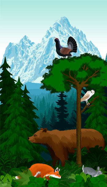 stockillustraties, clipart, cartoons en iconen met vector bergen bos groene bosbomen verlicht met beer, rode vos, konijn, kerkuil en houthoender - klimbos