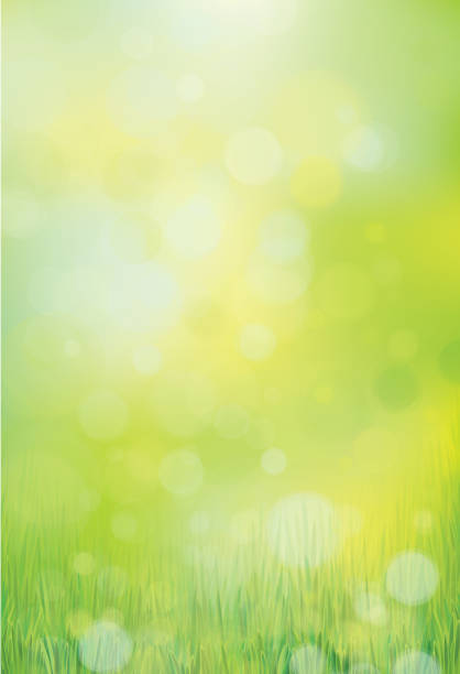Vector nature background. vector art illustration