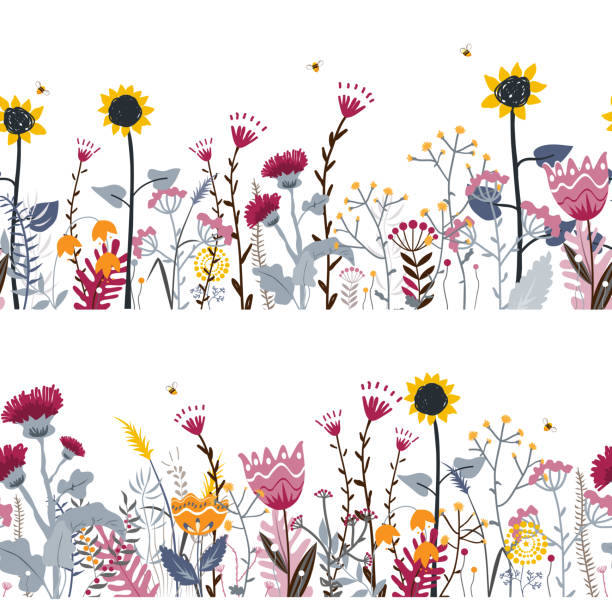 Vector nature seamless background with hand drawn wild herbs, flowers and leaves on white. Doodle style floral illustration Vector nature seamless background with hand drawn wild herbs, flowers and leaves on white. Doodle style floral illustration. bee borders stock illustrations