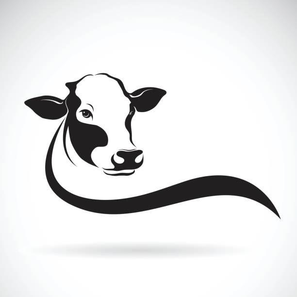 vektor eine kuh-kopf-design auf weißem hintergrund. nutztier. - kuh stock-grafiken, -clipart, -cartoons und -symbole