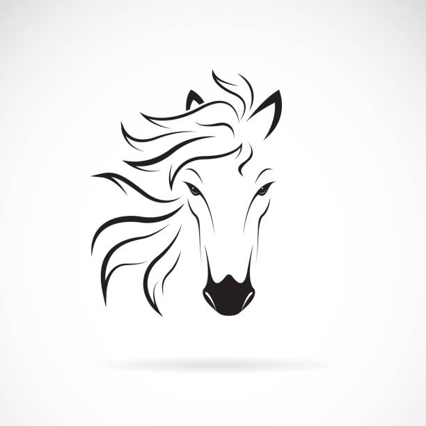 Vector of a horse head design on white background. Wild Animals. Horse head icon or logo. Easy editable layered vector illustration. Vector of a horse head design on white background. Wild Animals. Horse head icon or logo. Easy editable layered vector illustration. horse symbols stock illustrations