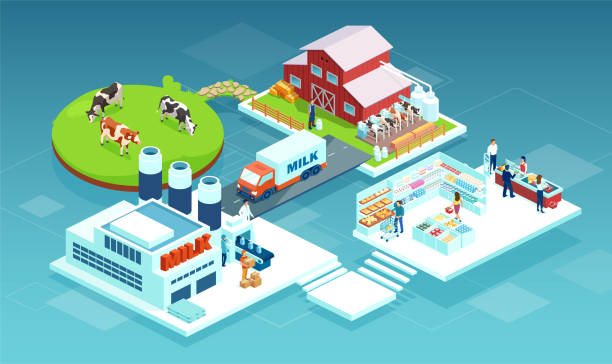 vector of a milk produce production chain from a dairy farm through factory to consumer on a supermarket shelves Isometric vector of a milk produce production chain from a dairy farm through factory to consumer on a supermarket shelves chain store stock illustrations