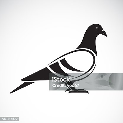 guvercin kucuk resim bedava vektor simdi indir