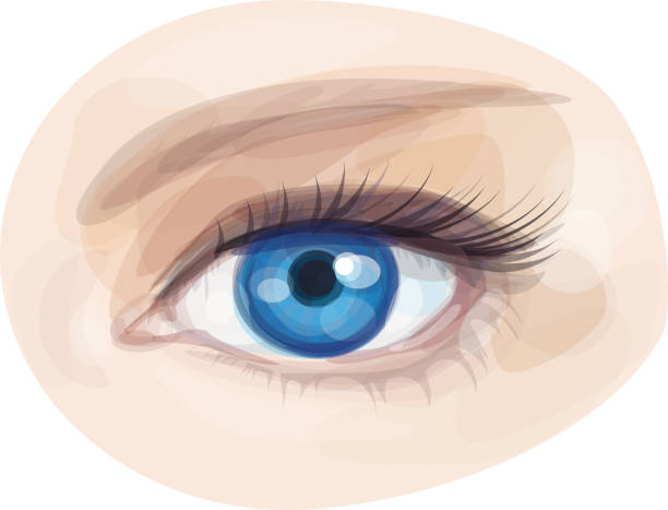 Vector of beautiful blue woman's eye. Background is my creative handdrawing and you can use it for your design, made in vector, Adobe Illustrator 10EPS file, transparency effects used in  file. blue eyes stock illustrations