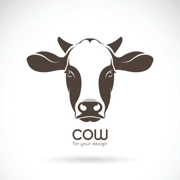 Vector of cow face design on white background. Farm Animal. Vector of cow face design on white background. Farm Animal. brown cow stock illustrations