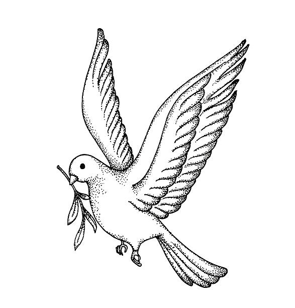 stockillustraties, clipart, cartoons en iconen met vector of hand draw dove. symbol of peace - duif