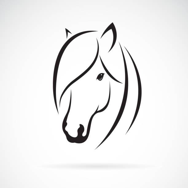 白い背景の上の馬ヘッド デザインのベクトル。動物。馬のシンボル。簡単に編集可能な階層化されたベクトルのイラスト。 - 雄馬点のイラスト素材／クリップアート素材／マンガ素材／アイコン素材