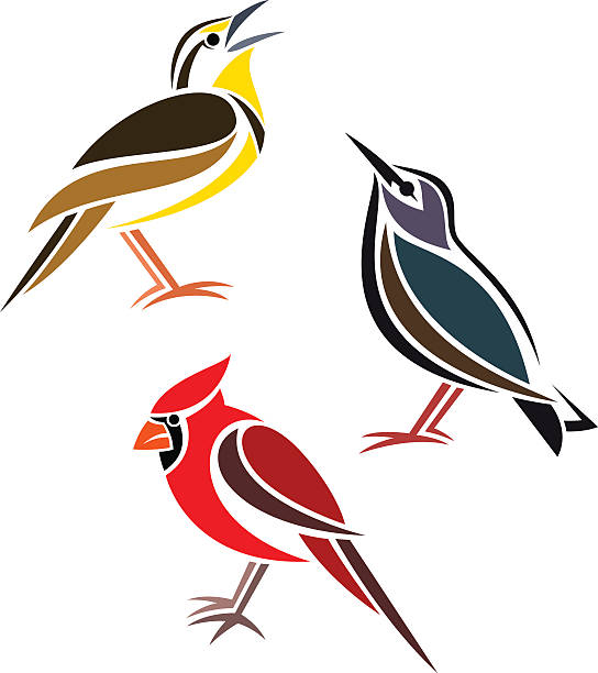 Vector of three birds, one yellow, one red and one blue Stylized birds - Western Meadowlark, Common Starling and Northern Cardinal meadowlark stock illustrations