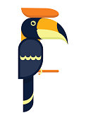 Vector illustration of toucan hornbill bird on white background. Wildlife animals flat design.