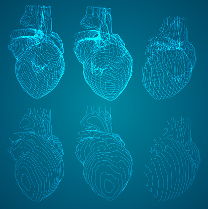 vector outlines in the form of a heart examination