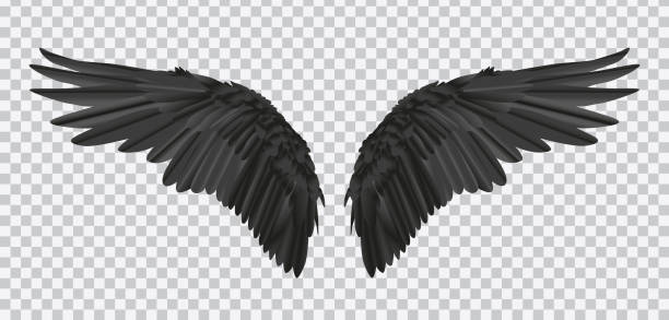 Vector pair of black realistic wings on transparent background Vector pair of black realistic wings on transparent background. crow bird stock illustrations