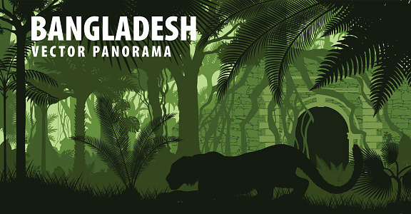 vector panorama of Bangladesh with tiger near jungle temple