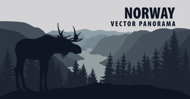 illustrazioni stock, clip art, cartoni animati e icone di tendenza di panorama vettoriale della norvegia con alci - oslo
