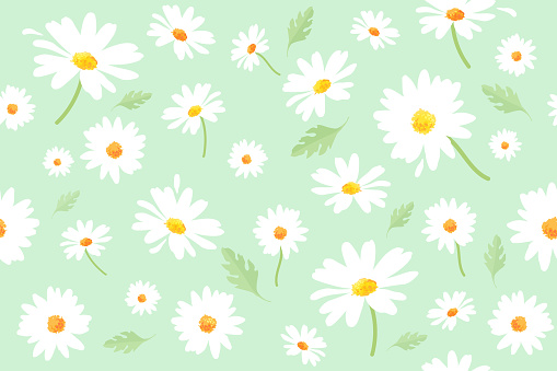 Vector pattern illusration white daisy flowers on a pink background. EPS10.
