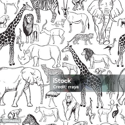 istock Vector pattern with african animals. 1199386552