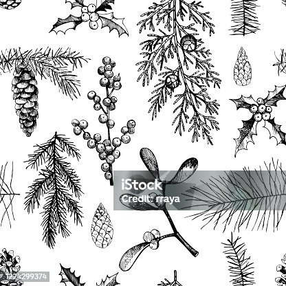 istock Vector pattern with  Christmas plants . 1224299374