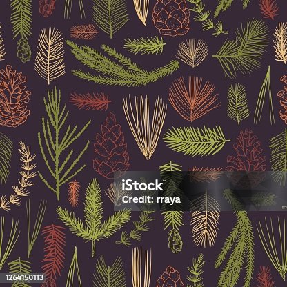istock Vector   pattern with Christmas plants 1264150113