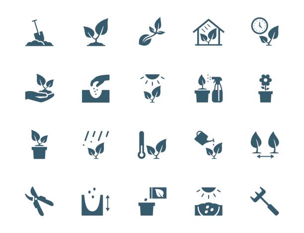 Vector plant growing and cultivating icon set Vector plant growing and cultivating icon set gardening icons stock illustrations