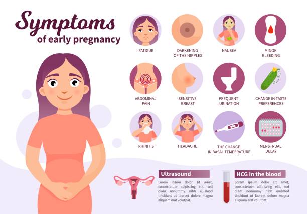 stockillustraties, clipart, cartoons en iconen met vector poster zwangerschap symptomen. - menstruatie