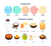 Vector probiotic foods. Best sources of probiotics. Beneficial bacteria improve health. Isolated elements is for label, brochure, menu, advertising, article about diets, healthy and proper nutrition