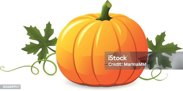 istock Vector pumpkin illustration on white background 165688947