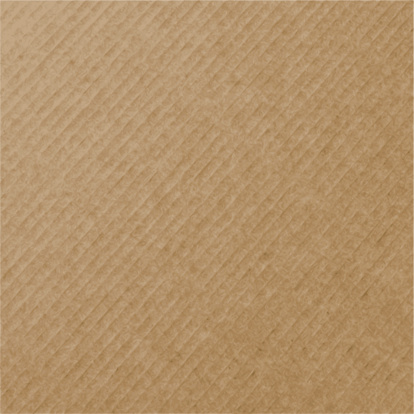 vector realistic cardboard texture