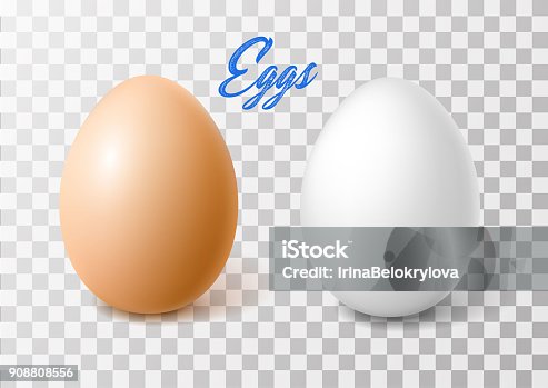 istock Vector realistic chicken brown egg, easter spring 908808556