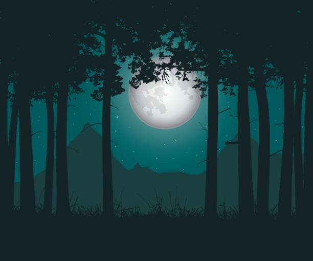 stockillustraties, clipart, cartoons en iconen met realistische vectorillustratie van een beklijvende bos met gras onder een groene nachtelijke hemel met de maan en sterren - klimbos