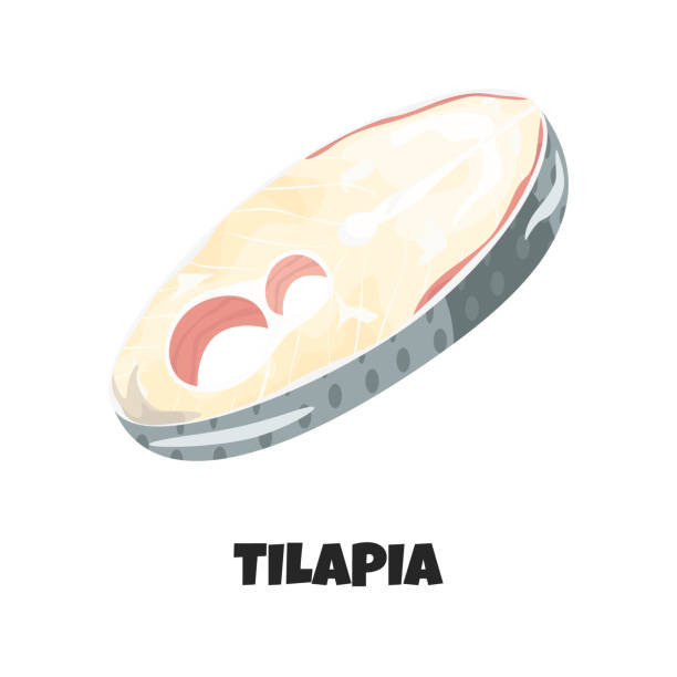 illustrations, cliparts, dessins animés et icônes de illustration réaliste de vecteur de steak de tilapia - filet de poisson