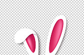 Vector realistic isolated bunny ears for template and layout decoration on the transparent background. Concept of Happy Easter.