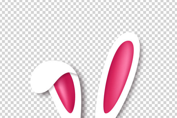 ilustrações de stock, clip art, desenhos animados e ícones de vector realistic isolated bunny ears for template and layout decoration on the transparent background. concept of happy easter. - pascoa