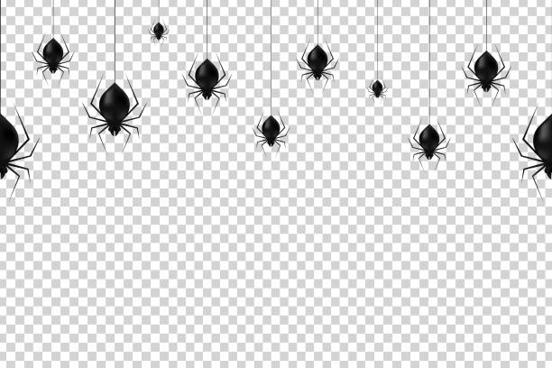 Vector realistic isolated hanging spiders seamless pattern for decoration and covering on the transparent background. Creepy background for Halloween. Vector realistic isolated hanging spiders seamless pattern for decoration and covering on the transparent background. Creepy background for Halloween. arachnophobia stock illustrations