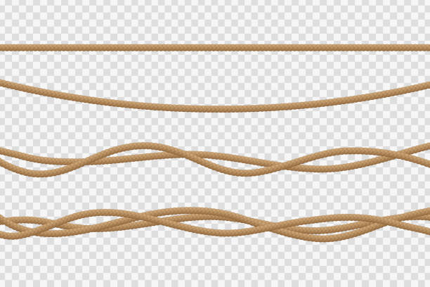 Vector realistic isolated rope for decoration and covering on the transparent background. Vector realistic isolated rope for decoration and covering on the transparent background. rope stock illustrations