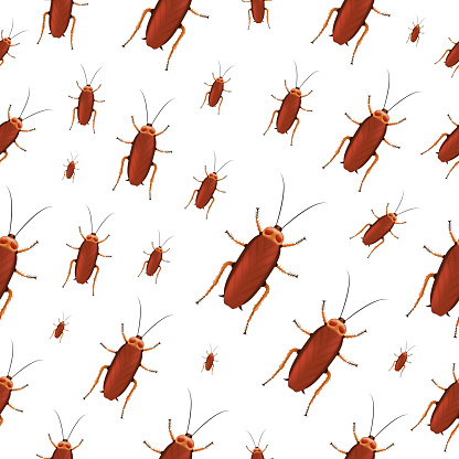 Vector Realistic Isolated Seamless Pattern With A Cockroach For ...